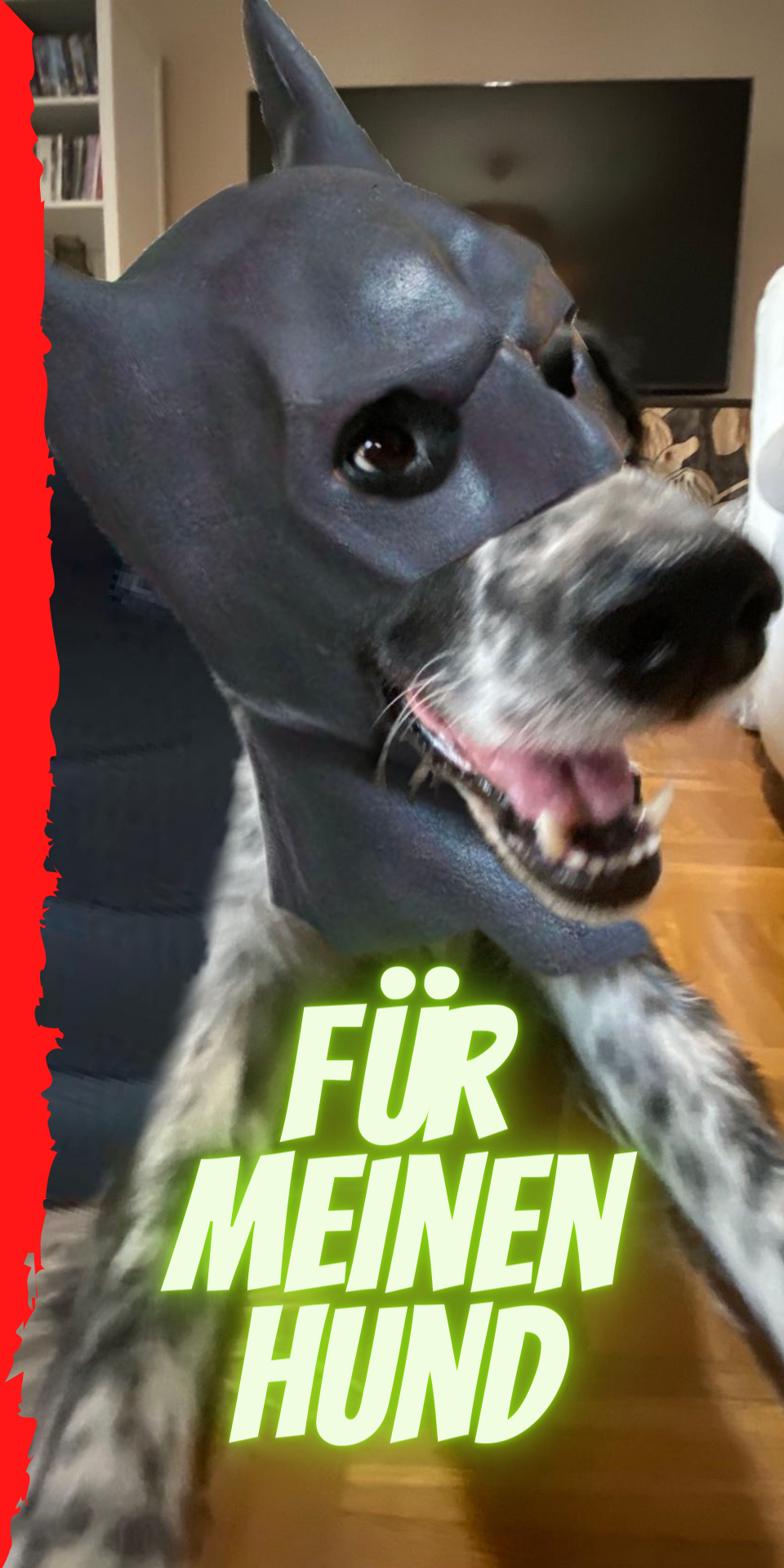 Team Hund wählen